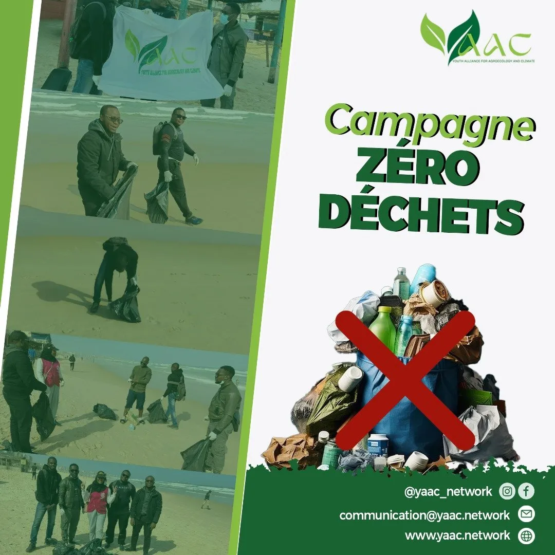 Membres de YAAC lors du nettoyage de plage à Dakar
